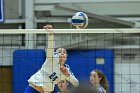 VB vs Plymouth St  Wheaton Women’s Volleyball vs Plymouth St. - Photo by Keith Nordstrom